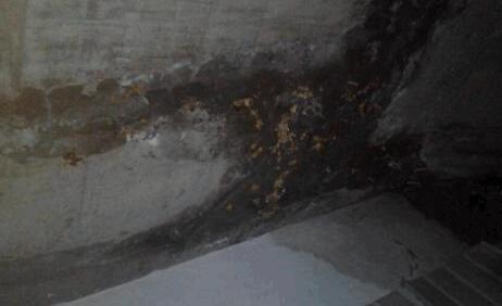 墻面滲水有什么辦法修復？屋頂防水施工的時候這些要留意